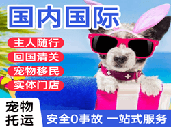 阿坝红原航空货运国际宠物托运 【国