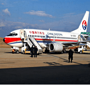 阿坝红原航空货运航空快运业稳步发展的原因是什么？